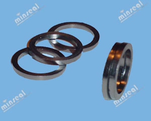2090F Flexible Graphite Die-formed Ring